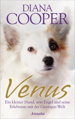 Venus Ein kleiner Hund, sein Engel und seine Erlebnisse mit der Geistigen Welt