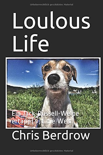 Loulous Life: Ein Jack-Russell-Welpe ertapp(s)t die Welt