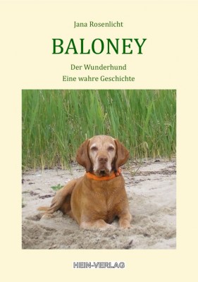 Baloney, der Wunderhund