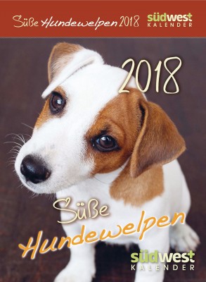 Suesse Hundewelpen 2018 ABK von