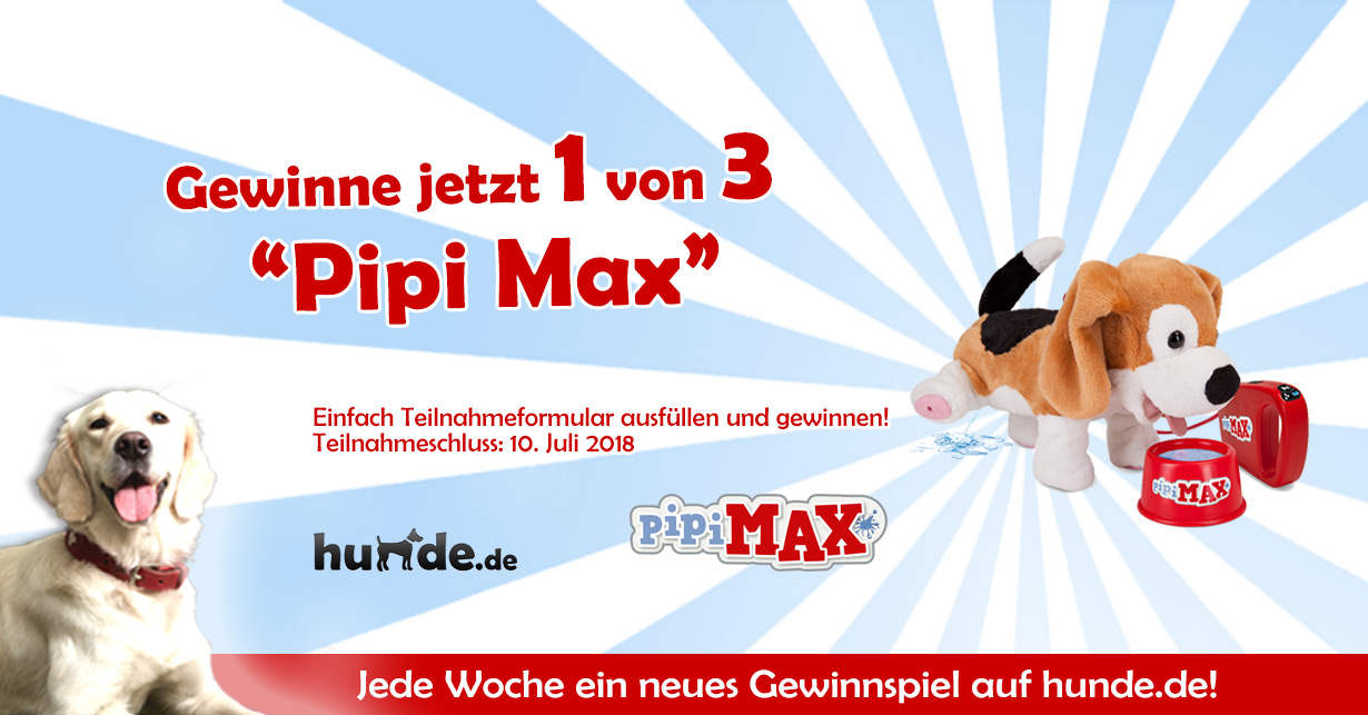 Hund Pipi Max Beagle Plüschtier laufen bellen trinken Kinderspielzeug  B-WARE 