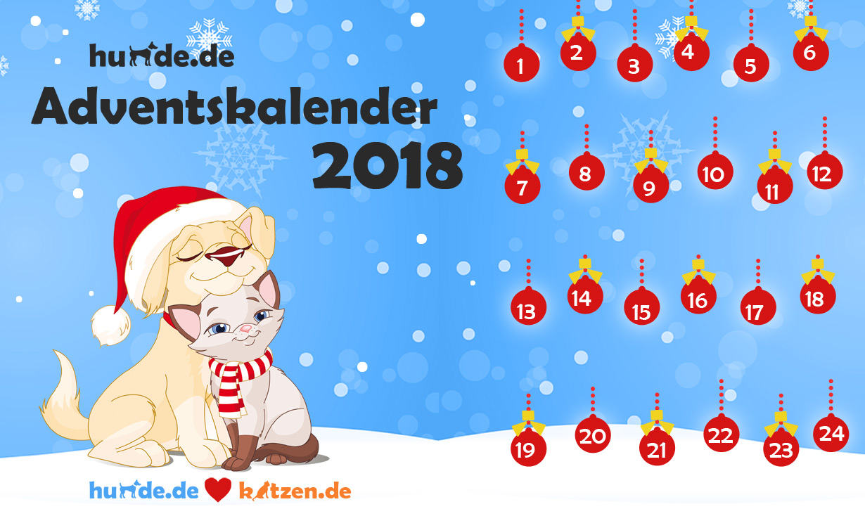 Der große hunde.de-Adventskalender 2018