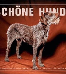 Schne Hunde: Bildband von Carolyn Menteith