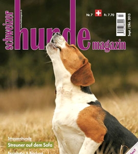 Schweizer Hundemagazin - Wissenswertes fr Hundeliebhaber in der Alpenrepublik