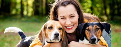 Hunde sicher transportieren
