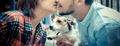 Hundeherz