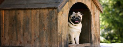 Hundehütten