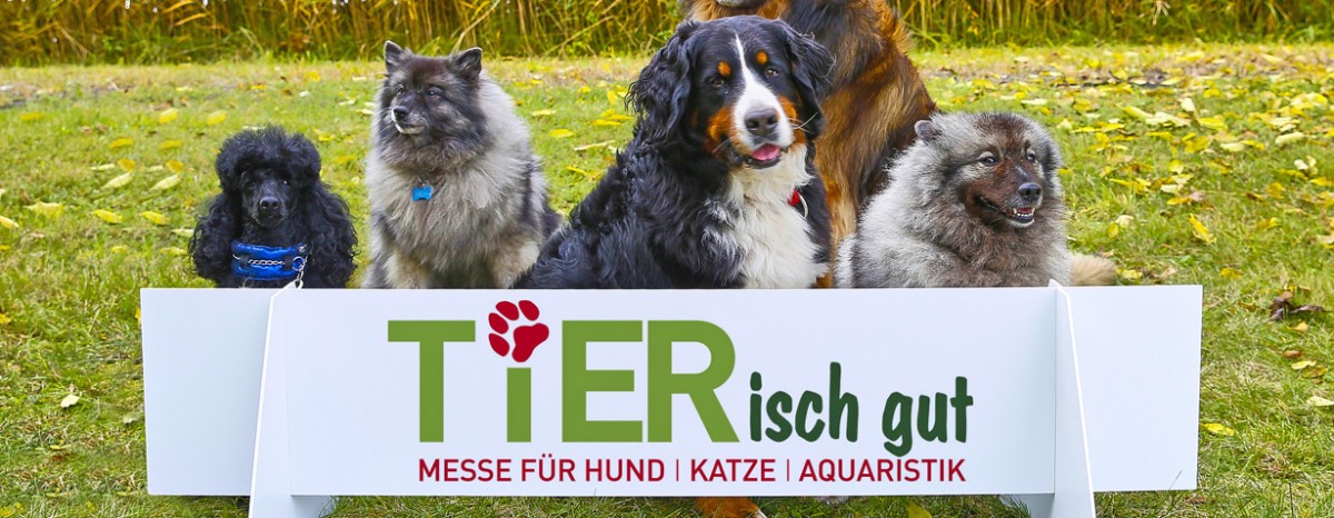 Tierisch was los Messe Karlsruhe zum fünften Mal Treffpunkt für