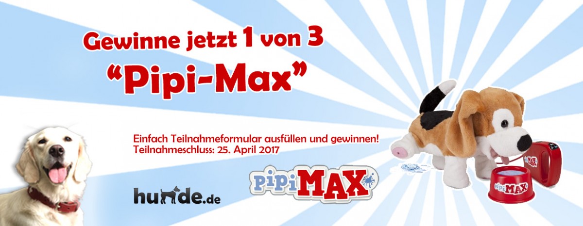 Gewinnspiel PipiMax Hunde.de