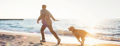 Warum ein Urlaub mit Hund in Holland wunderbar ist!