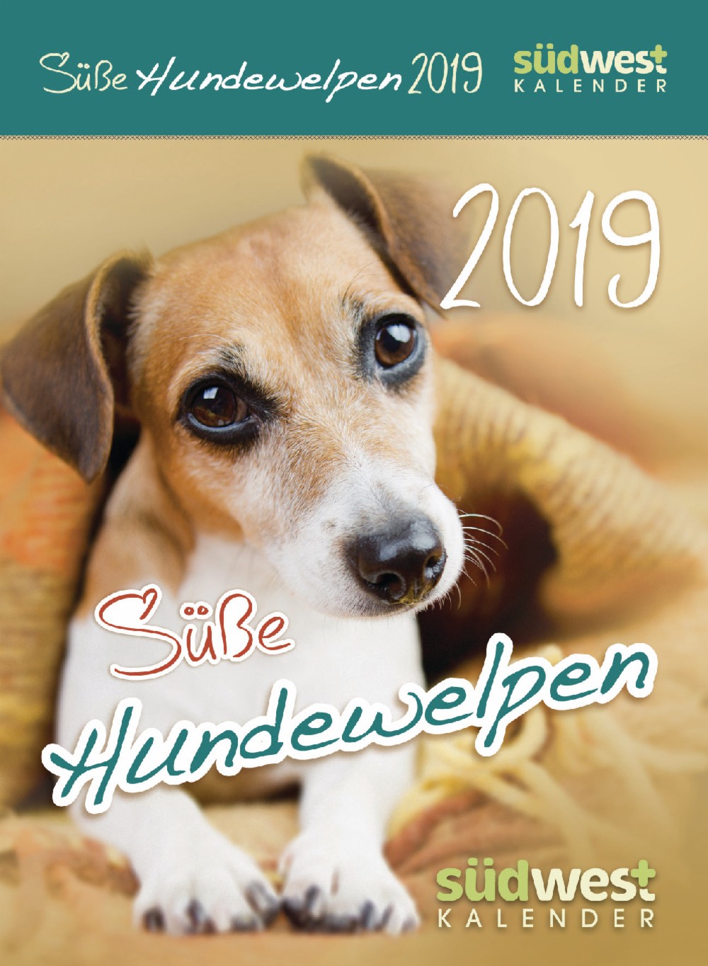  Süße Hundewelpen 2019 Tagesabreißkalender 