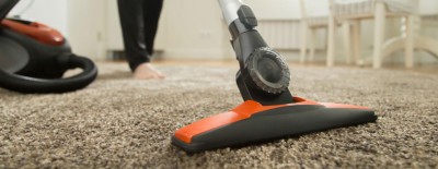 Akku- oder Bodenstaubsauger zum Entfernen von Hundehaaren?