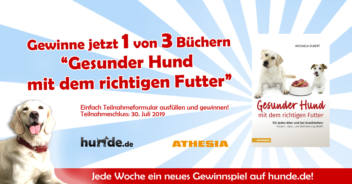 Gewinnspiel Gesunder Hund mit dem richtigen Futter Hunde.de