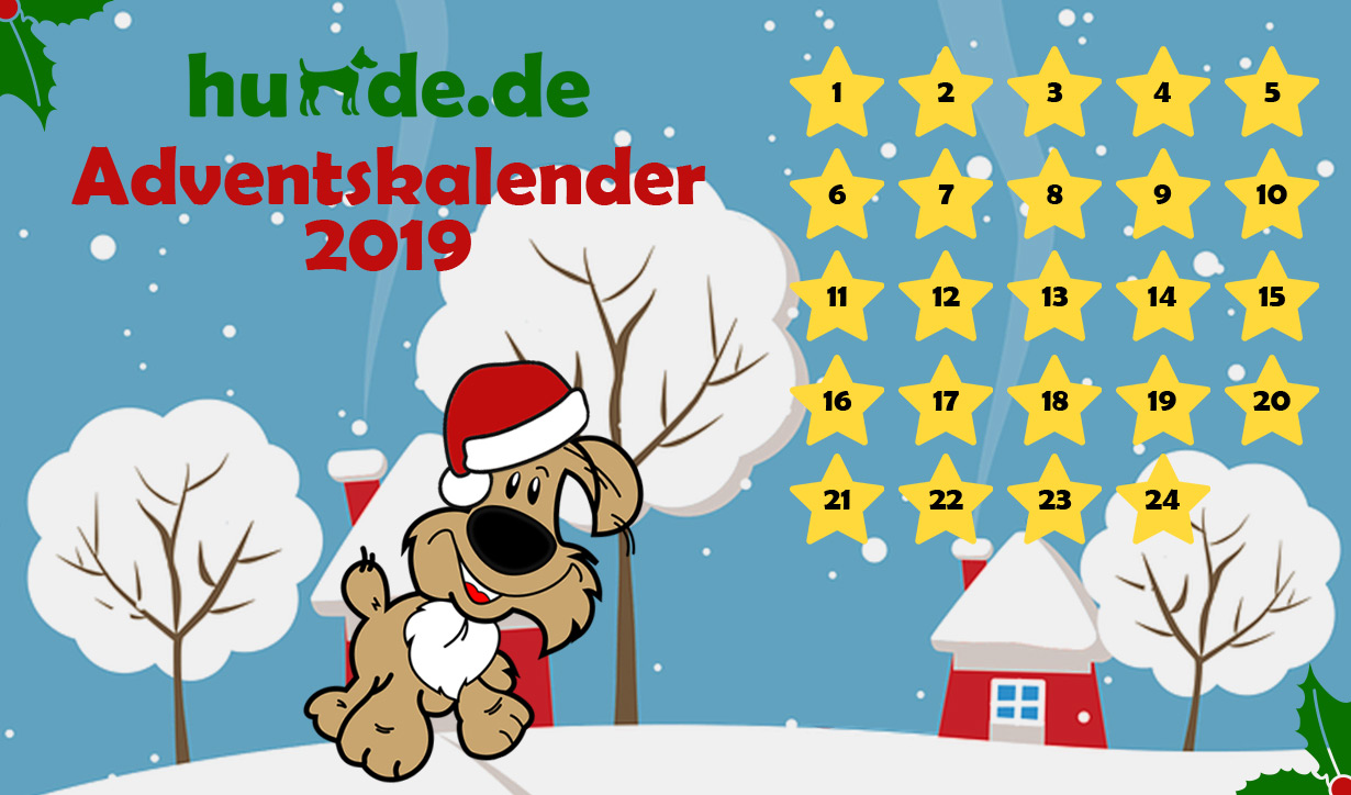 Der große hunde.de-Adventskalender 2019