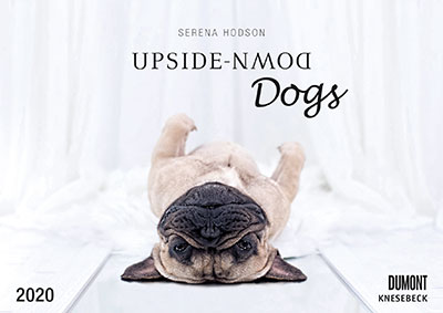 Upside-Down Dogs 2020