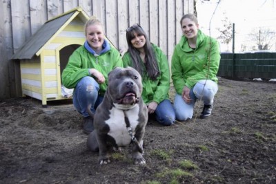 Drei starke Frauen für die Rettung von Fred (v.l.): Tierschutzberaterin Sina Hanke, 1. Vorsitzende Sandra Gulla und Tierschutzberaterin Alena Kramer.