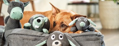 Tierische Wohnaccessoires für das gemeinsame Zuhause