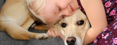 Tiere sind keine ständig verfügbare Kuschelkumpel!