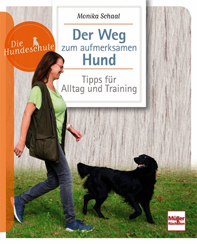 Der Weg zum aufmerksamen Hund