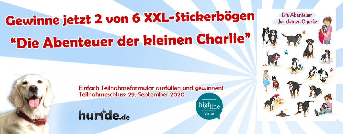Gewinnspiel: 3×2 Stickerbögen XXL (A4): Charlies Abenteuer