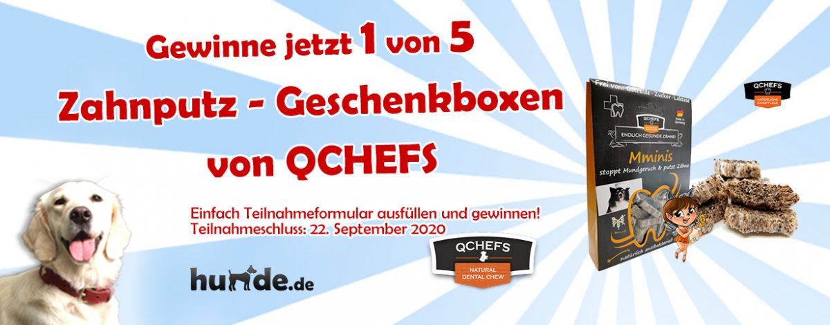 Gewinnspiel: Zahnpflegeleckerlies von QCHEFS