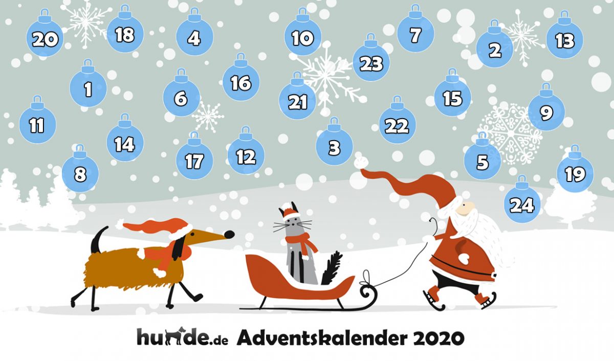 Der große hunde.deAdventskalender 2020 Hunde.de