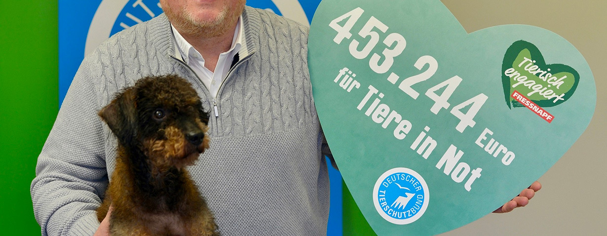 Unterstützung für Tierheime: Dank für 453.244 Euro