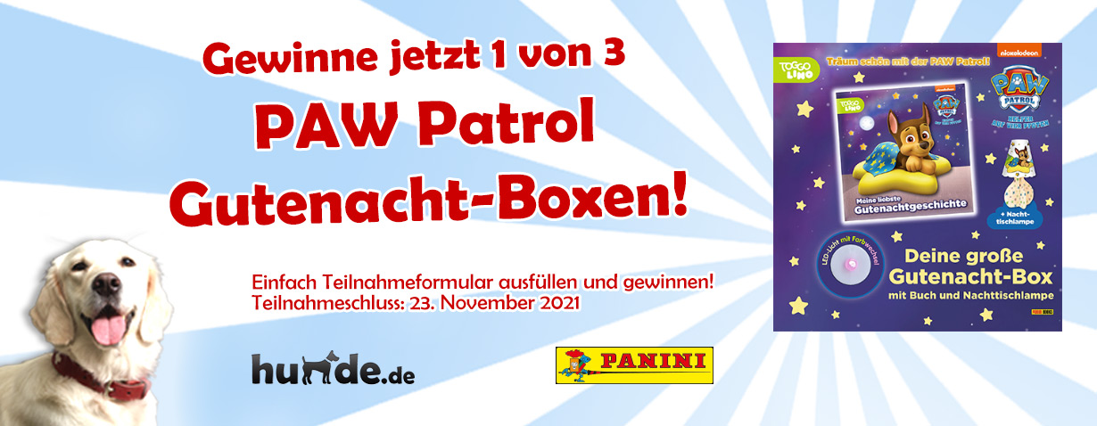 PAW Patrol - Meine große Paw Patrol Gutenacht-Box