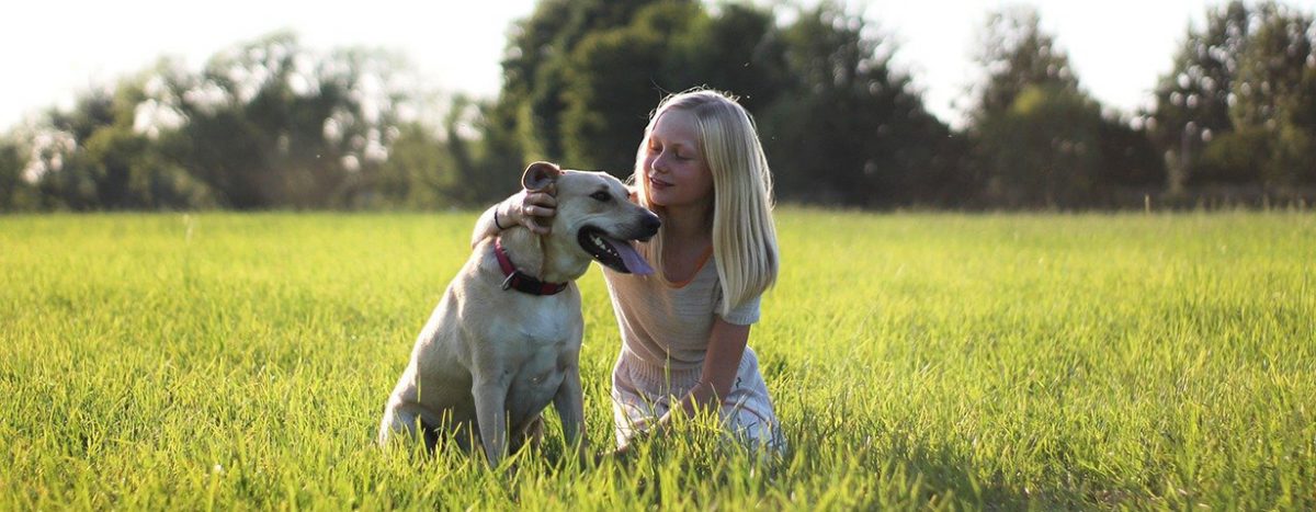 Die Freundschaften zwischen Kind und Hund sind etwas ganz Besonderes